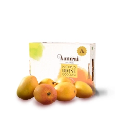 Organic A size alphonso mango