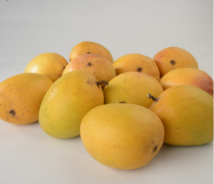 Certified Organic Alphonso Mangoes