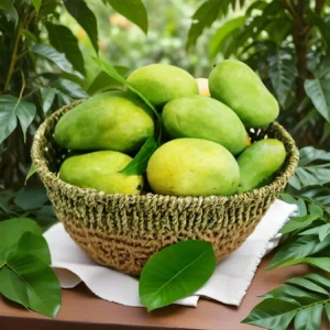 Malda Langra Mangoes