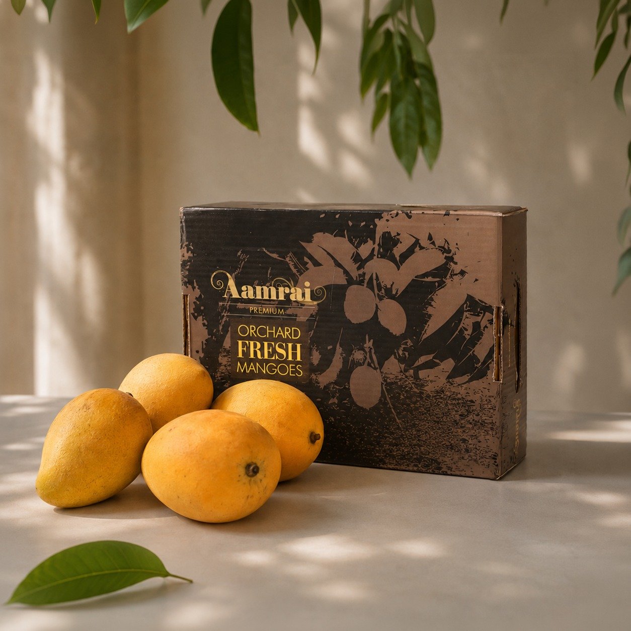 Premium Hapus Junnar Mangoes