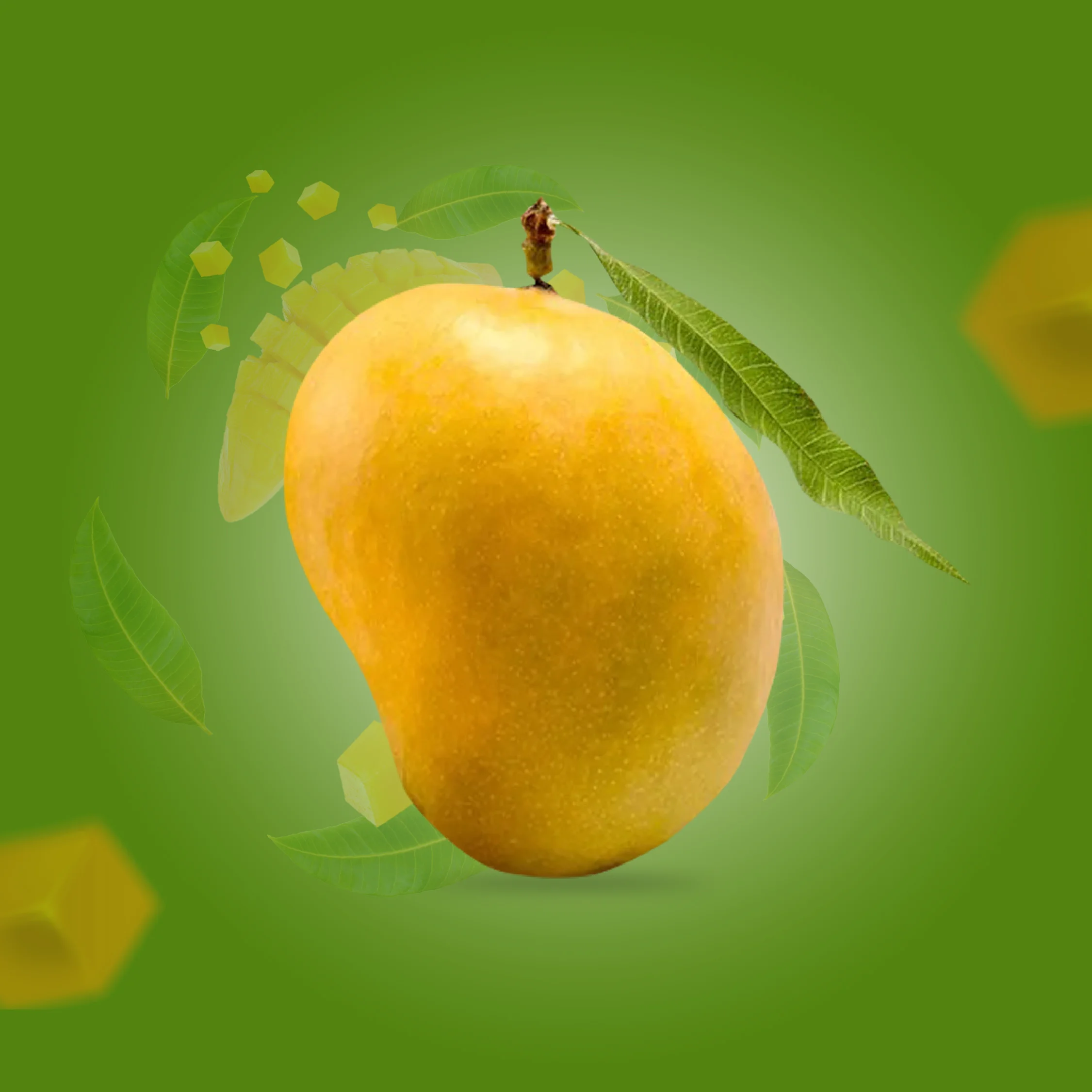 Aamrai real alphonso mango