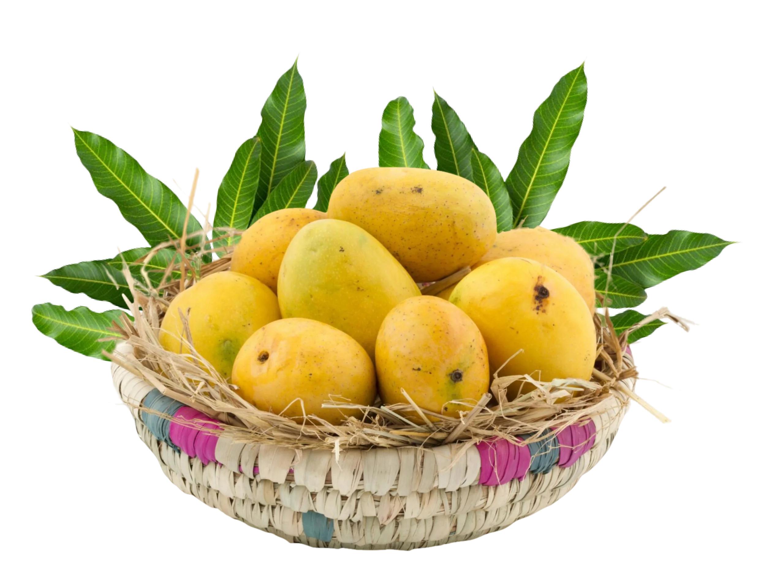 mango home delivery