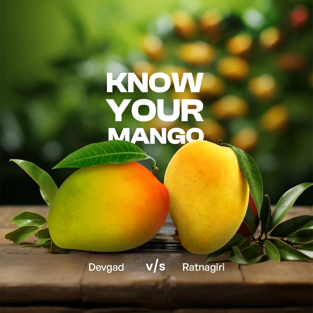 Devgad mango and Ratnagiri mango