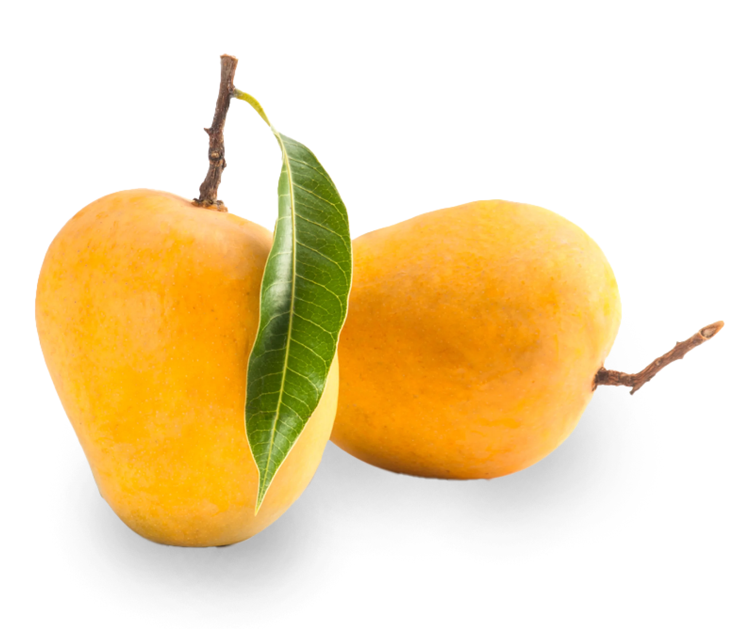 best alphonso mangoes in India