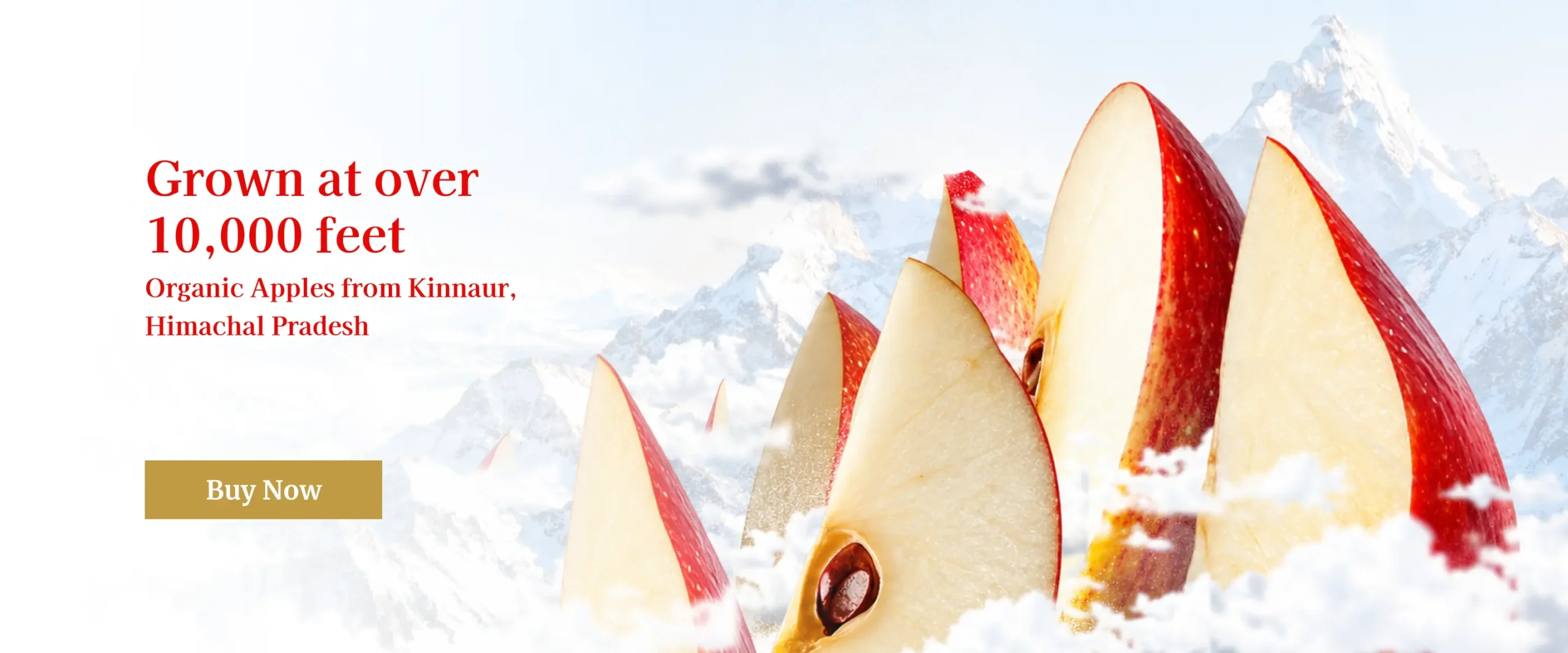 Organic Kinnaur Apples